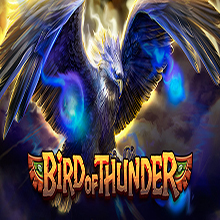 https://b3ti-cdn4-platform.cdn-in-flare.com/resources//media/games_images//the_ear_habanero/bird_of_thunder_1676014906.jpg
