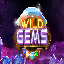 https://b3ti-cdn4-platform.cdn-in-flare.com/resources//media/games_images//the_ear_vibra_gaming/wild_gems_1676014906.jpg