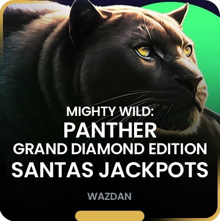 https://b3ti-cdn4-platform.cdn-in-flare.com/resources//media/games_images//wazdan/Mighty_Wild_Panther_Grand_Diamond_Edition_Santa_039_13165.png